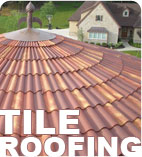 OC Attic Cat Insulation